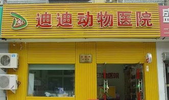 中国商家为何执念于西红柿炒鸡蛋配色 暗藏商机 