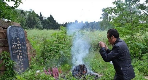 上坟三不带,后人福气来 ,清明节上坟究竟什么不能带