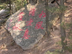 向山铁也百科(向山铁也的介绍)