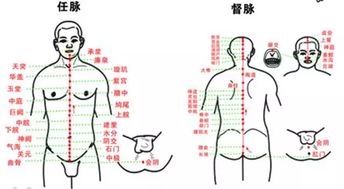 三伏天灸透任督二脉,秋冬百病不犯