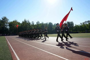 陆军装甲兵学院分数线,军校2023录取分数线