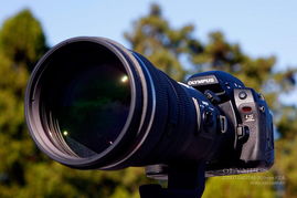 300mm f8 mirror lens olympus om,Discover the Power of the 300mm f8 Mirror Lens for Olympus OM Cameras