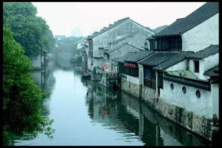 又到 烟雨江南 时,美醉了 