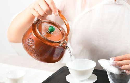 高血压喝白茶好还是菊花茶好,高血压喝什么茶能降压?
