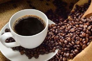 猫屎咖啡各种星巴克咖啡哪种更好喝