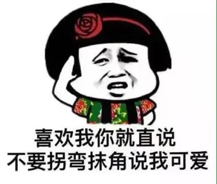 笑话超级搞笑的笑话,为何猫咪从来不学习电脑？