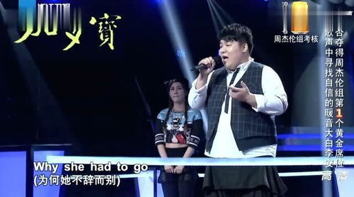 中国好声音唱英文歌的男孩,好声音第四季那个十七岁小伙子唱的什么歌被选的,那首英文歌叫什么?