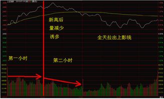 听说股票会跌到本金都搭进去还不够哦，要往里贴钱啊？有这种情况吗？