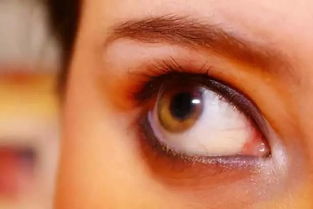 经常转动眼球可以恢复视力吗治疗近视眼吗(转眼球恢复视力法，连飞行员都用？智商捉急了)