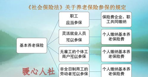 名下有公司可以交灵活就业吗(自己有公司灵活就业上养老保险)