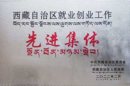 喜报 热烈祝贺陕西省人才交流服务中心荣获西藏自治区就业创业工作先进集体称号