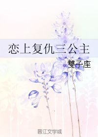 恋上复仇三公主 双子座 