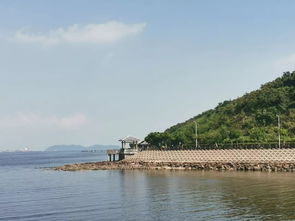 走进项目,贴近自然 中港装饰开展惠州大亚湾一日游团建活动