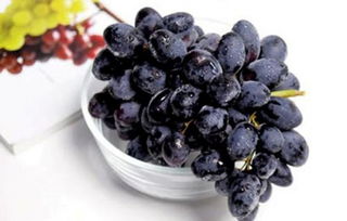 黑加仑葡萄 如何区分黑加仑