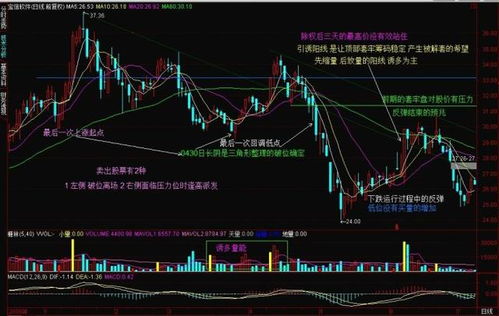 左脑型思维者适合炒股吗