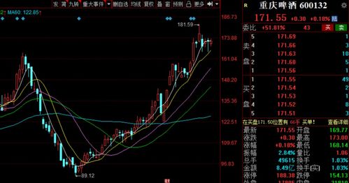 山西汾酒股票盈亏分析