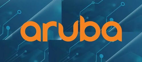 Aruba,直面新网络时代