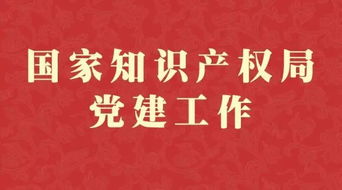 国家知识产权局优秀共产党员 优秀党务工作者和先进基层党组织名单公布 中国知识产权资讯网 