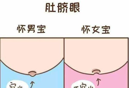 怀男孩和女孩有什么不同反应,真的能从孕妈妈不同孕相看男女吗