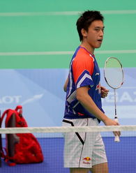 羽毛球高欢,羽毛球高欢——中国羽毛球运动员