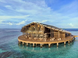 【马尔代夫自由行攻略】七星岛游记分享，带你体验最美海岛风光！
