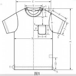 圆领T恤衫的样板设计与工艺