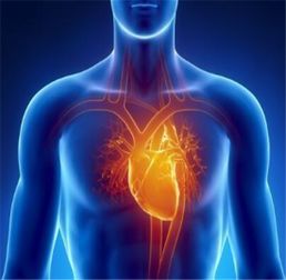 心脏供血不足症状 心脏供血不足的症状是什么啊