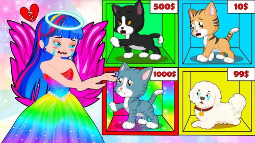 小西蒙动画 有趣的宠物故事,公主收养可怜的黑猫和灰猫 