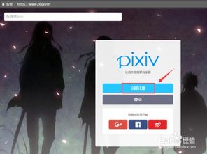 pixiv登录教程 pixiv登录教程 词条