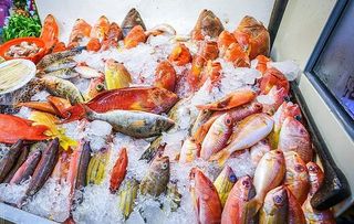 海鲜市场猫腻多,这个季节买海鲜注意这几种,谨防上当