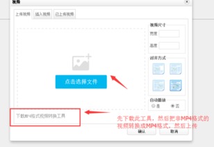 小鸟cms系统AI文章站群系统