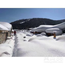 【一个人从哈尔滨去雪乡旅游费用哈尔滨去雪乡旅游线路】-黄页88网