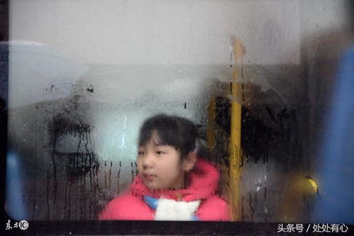 为什么感觉现在辅导小学生功课崩溃的家长那么多