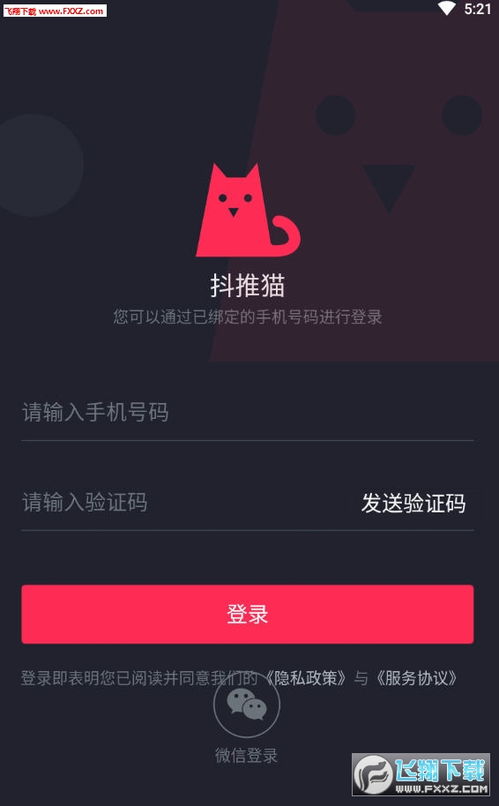 抖推猫是什么软件(抖推猫是什么平台)