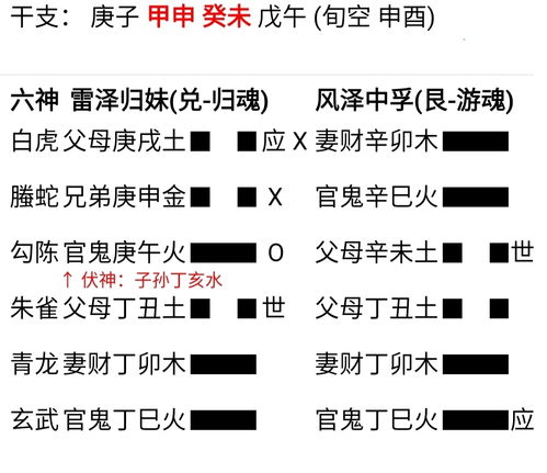 玄真六爻排盘(玄真六爻排盘怎么看)