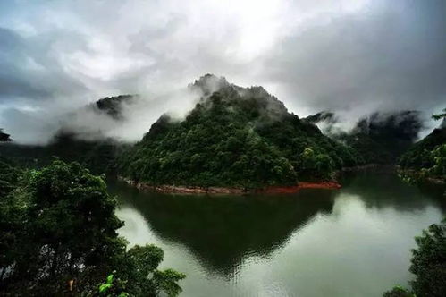 四面山龙潭湖 水不在深,有龙则灵