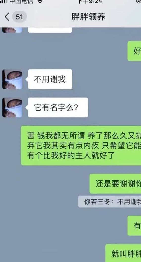 主人说给我找了个靠谱的领养人,结果这个人打断了我的腿