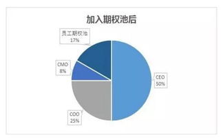 投资占股怎么分配