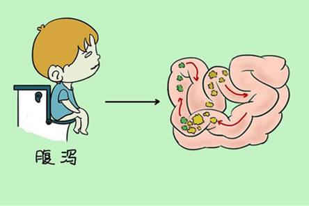 吃坏肚子拉肚子白细胞多,肠胃问题（白细胞过多）