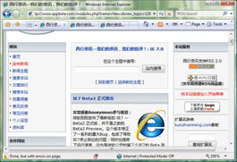 windows系统程序,Widows系统程序概述及常见问题解决