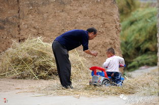 孙子可以给爷爷上坟吗