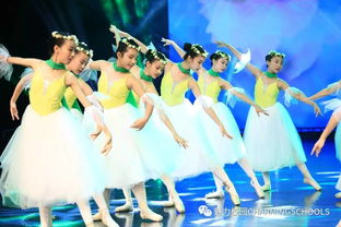 芭雅舞蹈培训学校,鄂州有比较专业的少儿舞蹈培训机构吗？求推荐！