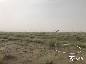 新疆和田策勒博斯坦乡天气预报