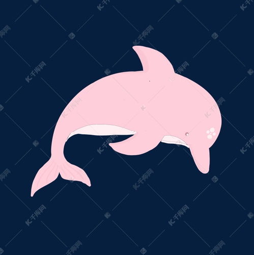 粉海豚卡通图片可爱 搜狗图片搜索