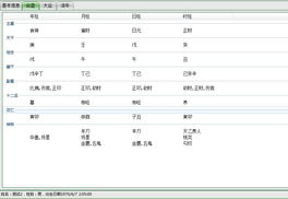 洪铟八字算命软件 截图 