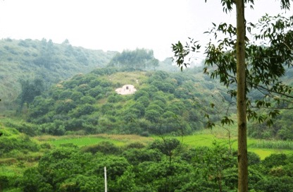 温州墓地阴阳宅风水大师王祥沣 怎么看墓地风水 