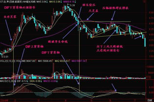 阴线成交量和阳线成交量怎么理解请详细点本人初学者