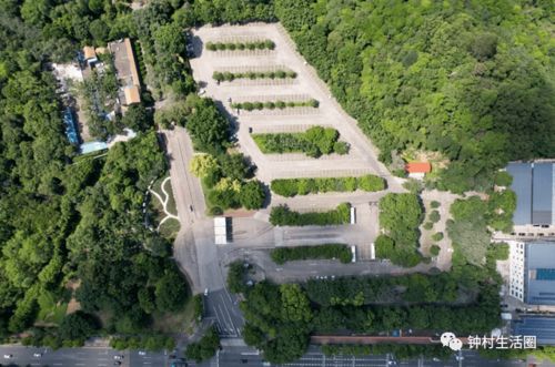 大夫山森林公园停车场收费标准表,景区停车场收费标准