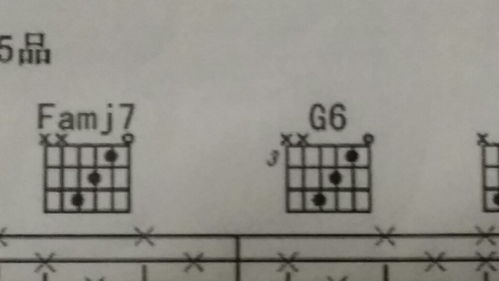 吉他谱,为什么这两个和弦都一样啊,他俩有区别吗 