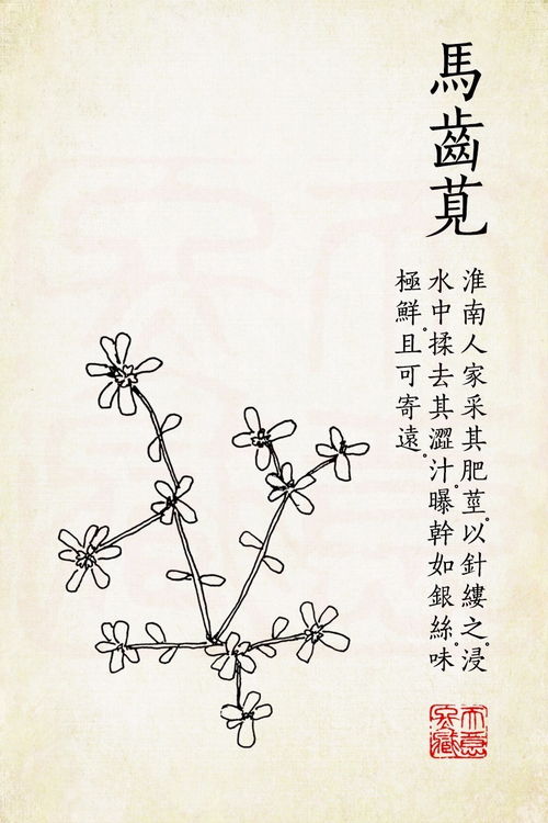 五行俱全的名字